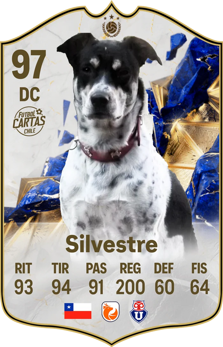 Carta personalizada para mascota: Silvestre