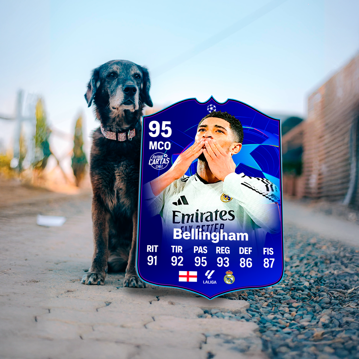 Bellingham - UCL Primetime FC26