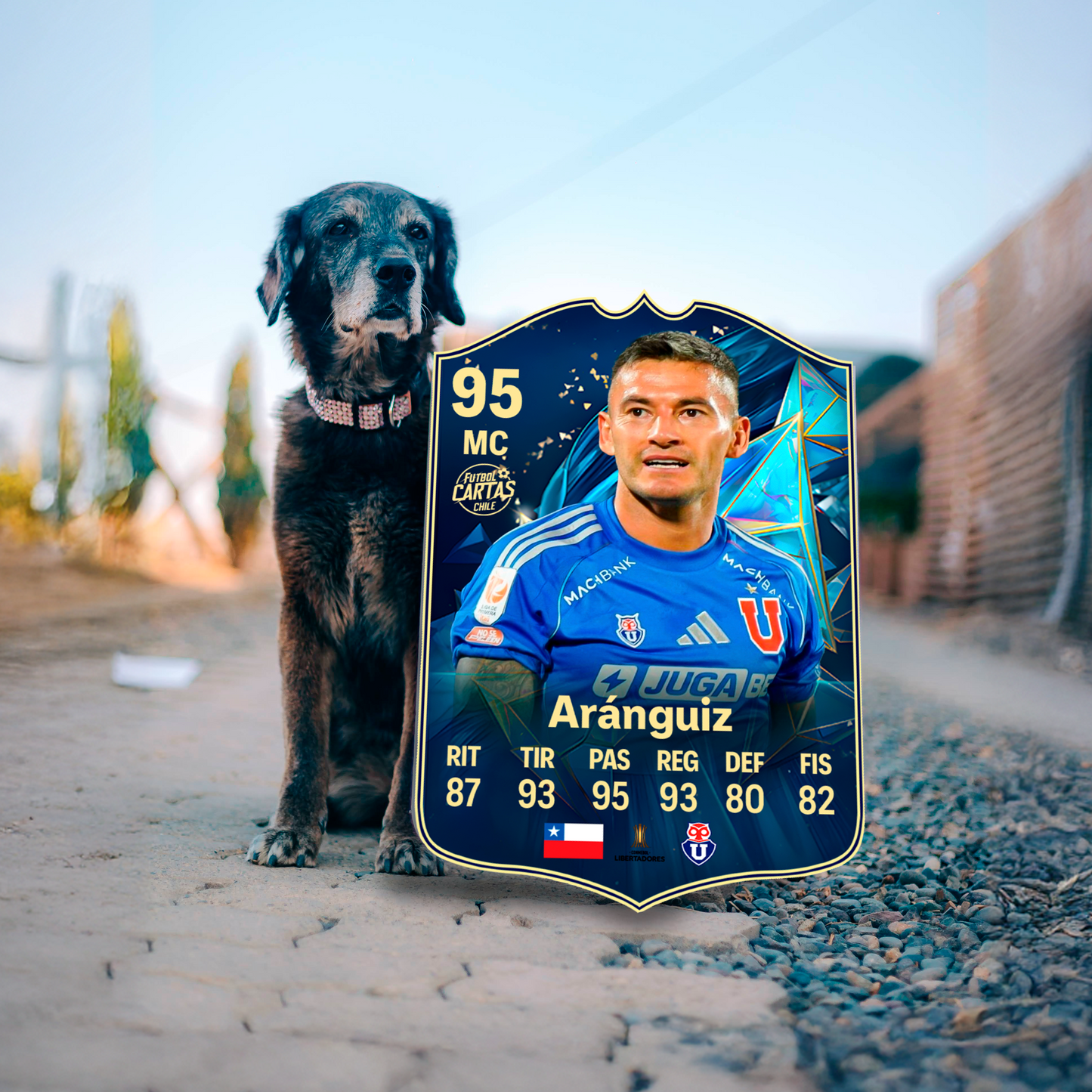 Charles Aranguiz - TOTS FC25