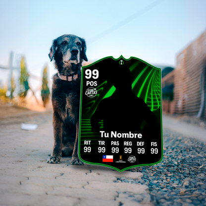 Conference League - FC26