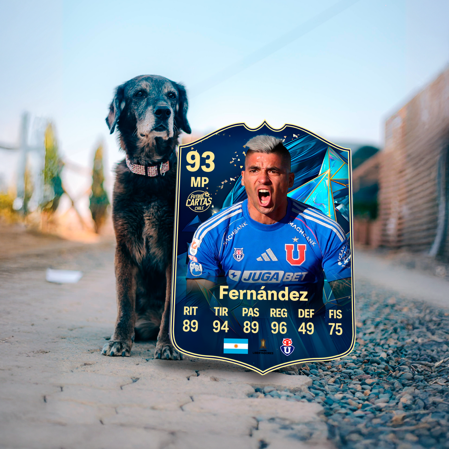 Leandro Fernandez - TOTS FC25