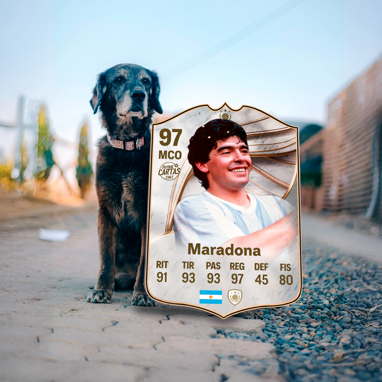 Diego Maradona - ICONO FC26