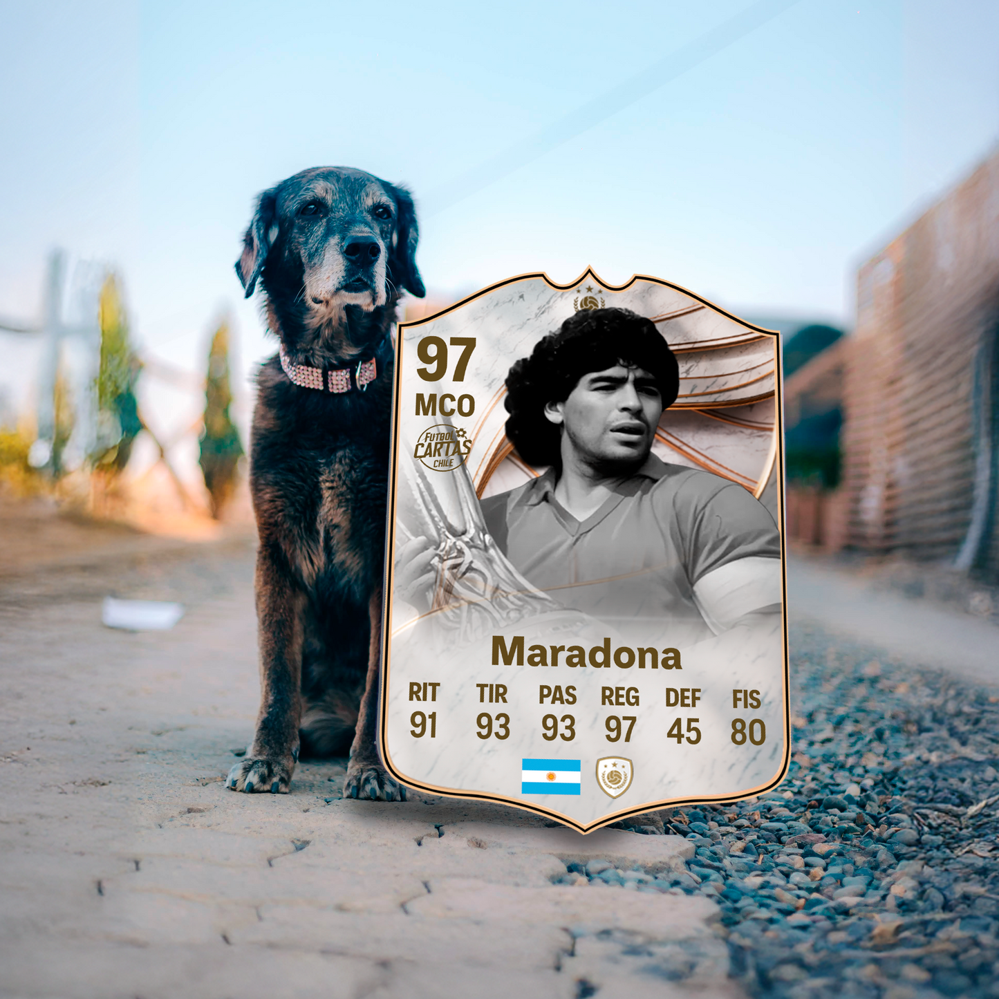 Diego Maradona - ICONO FC26