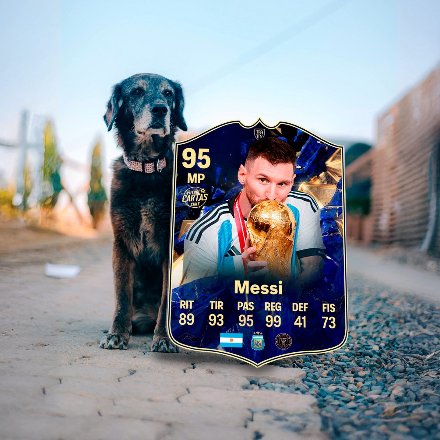 Lionel Messi - TOTY FC25