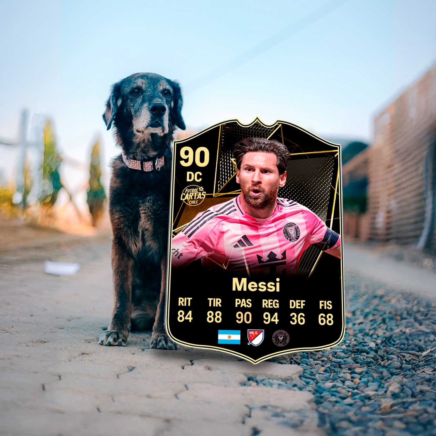 Lionel Messi - TOTW FC25