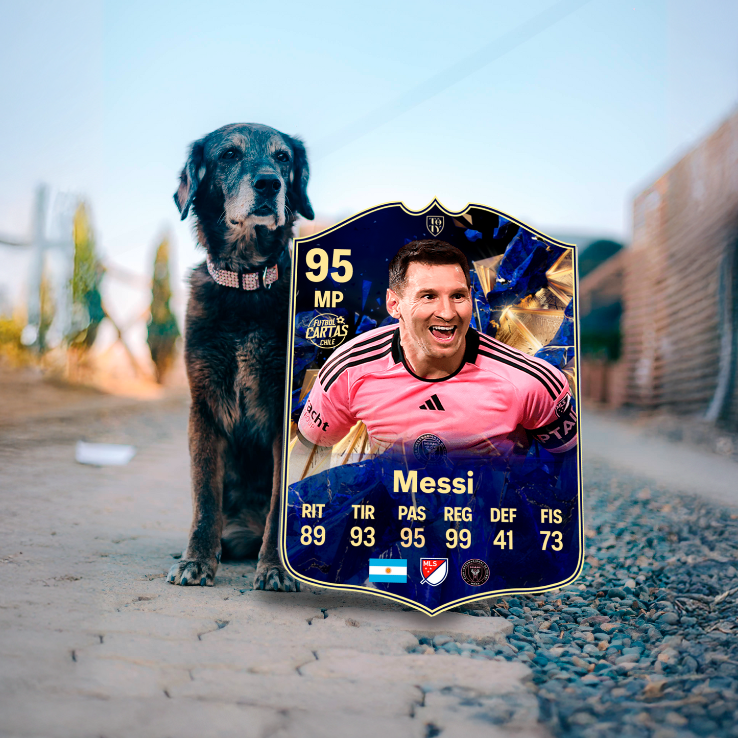 Lionel Messi - TOTY FC25