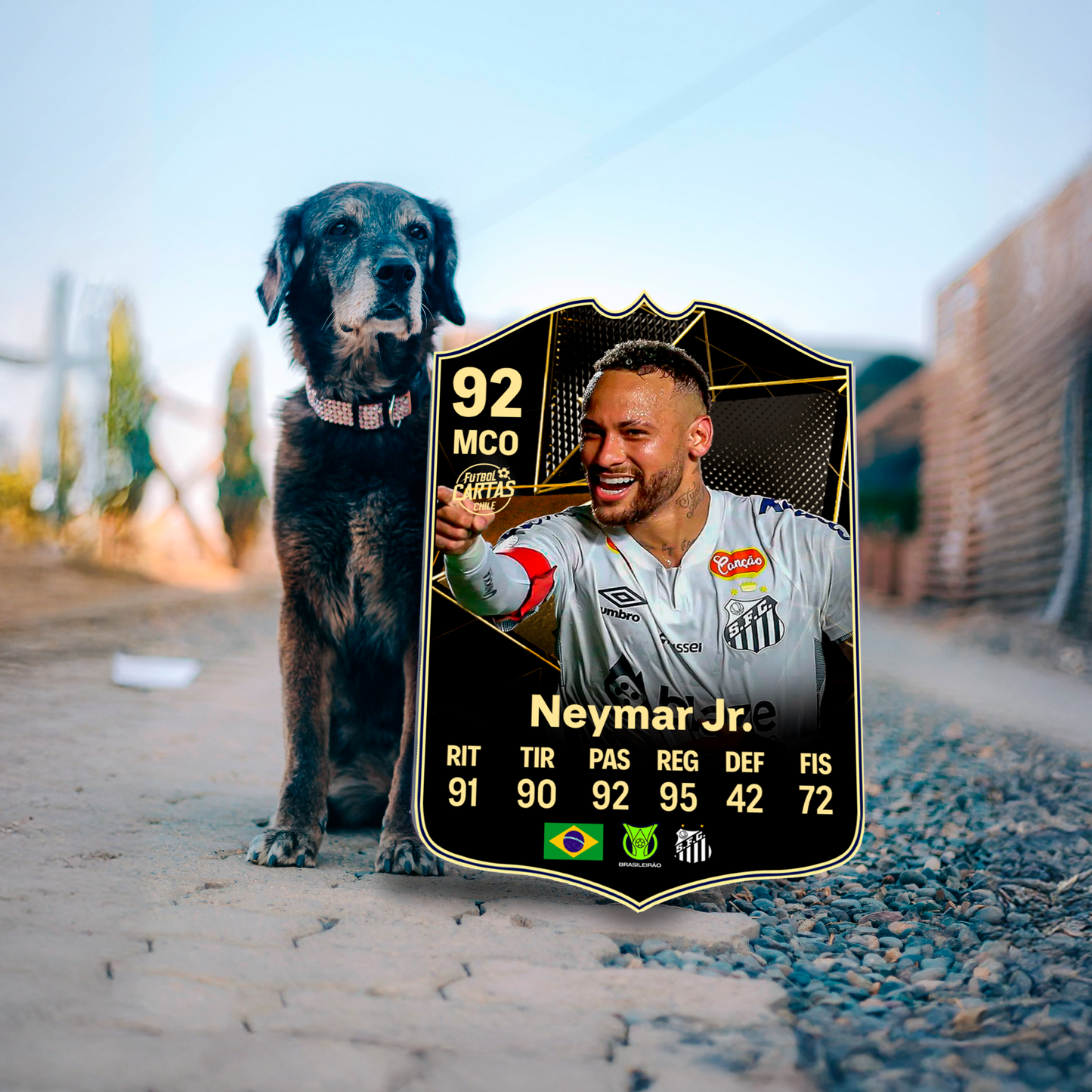 Neymar Jr - TOTW FC25