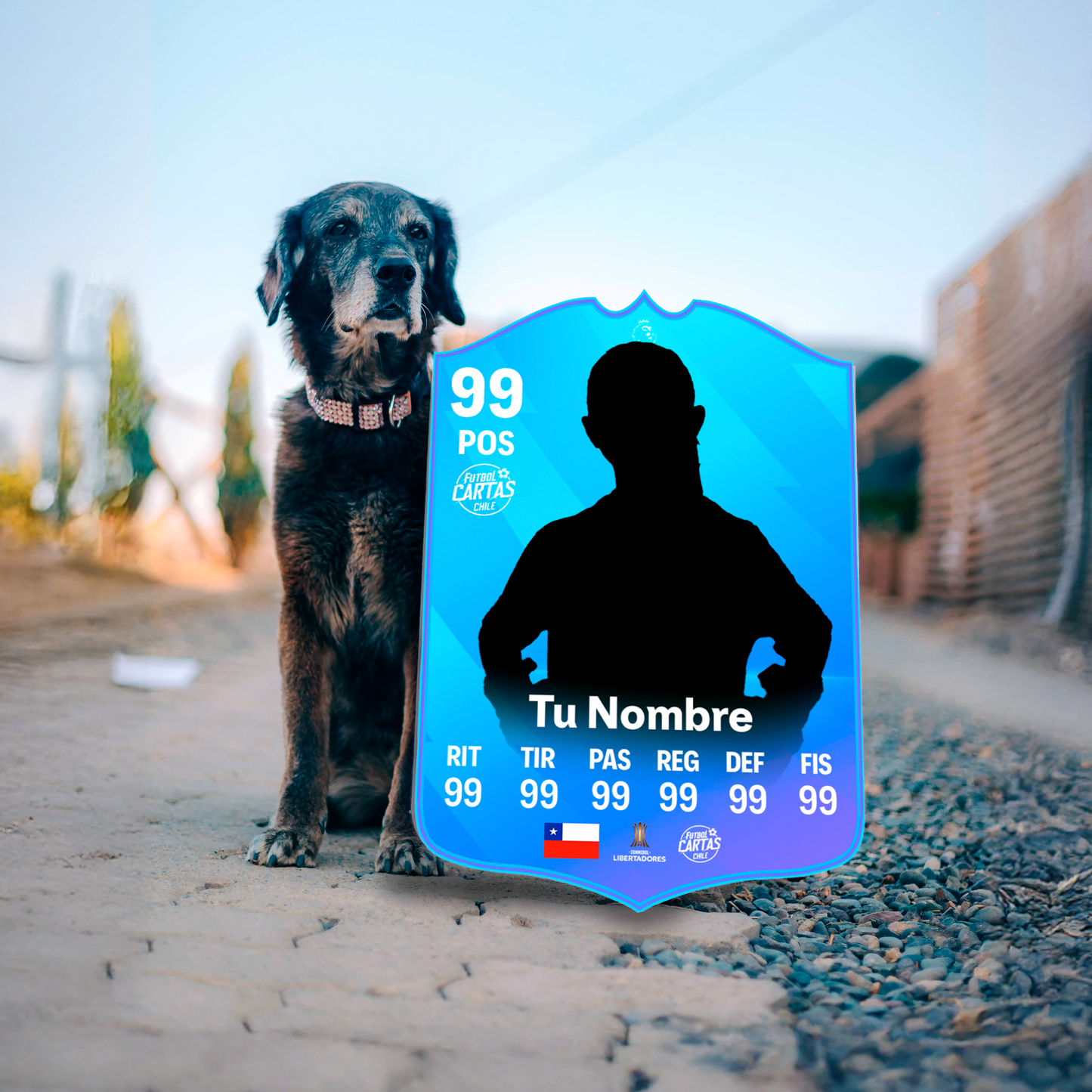 Premier League POTM - FC26