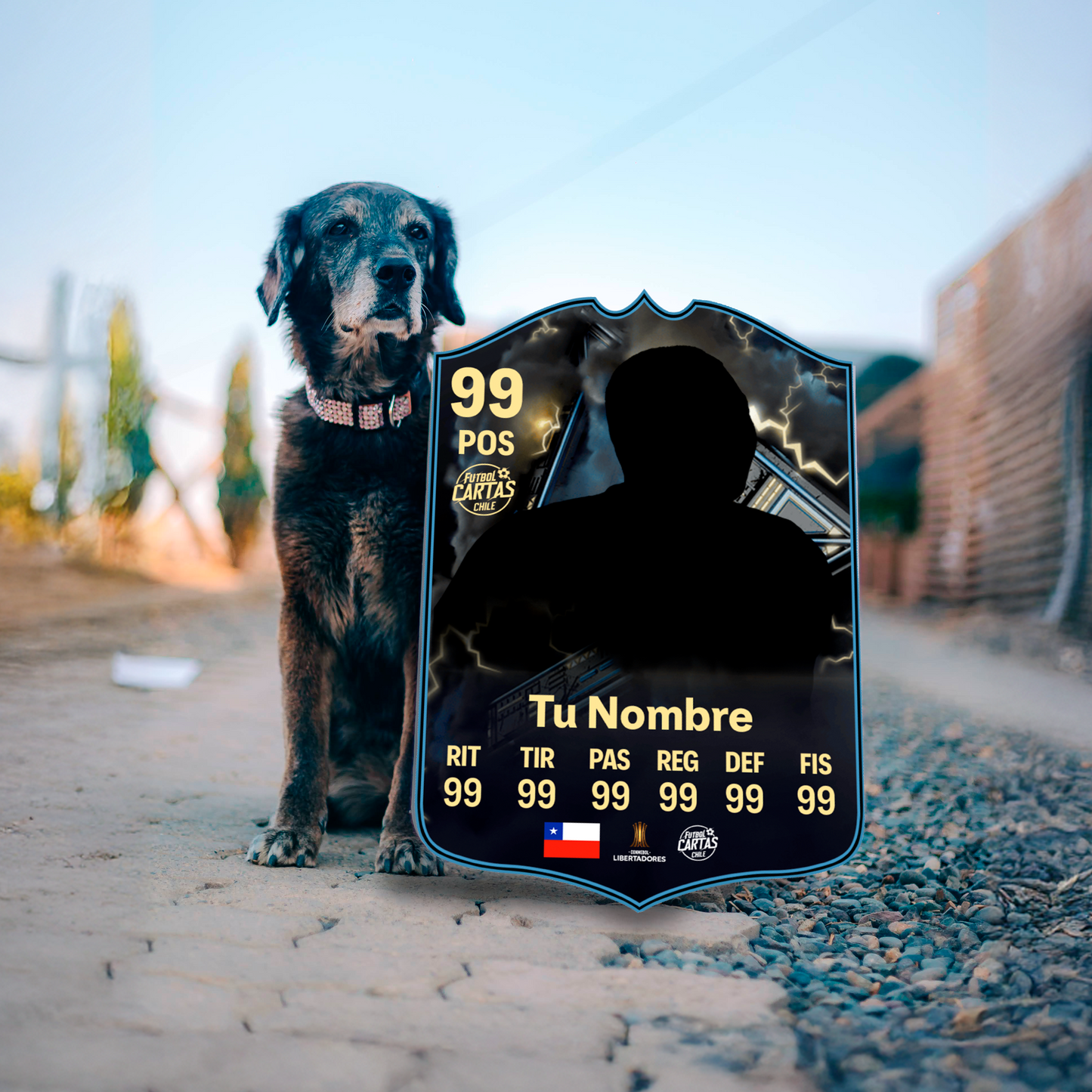 Thunderstruck - FC25