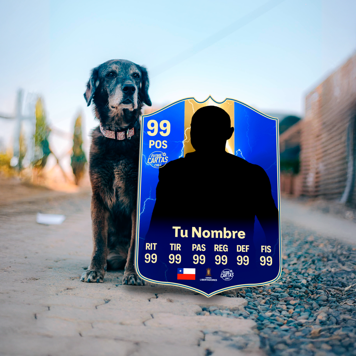 Team Of The Season Retro (TOTS) - FIFA 19