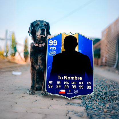 Team Of The Season Retro (TOTS) - FIFA 19