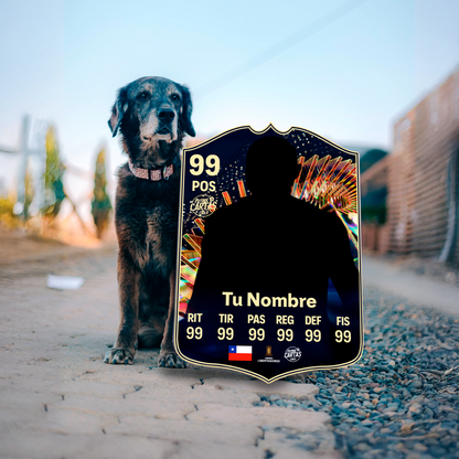 Team Of The Season (TOTS) - FC24