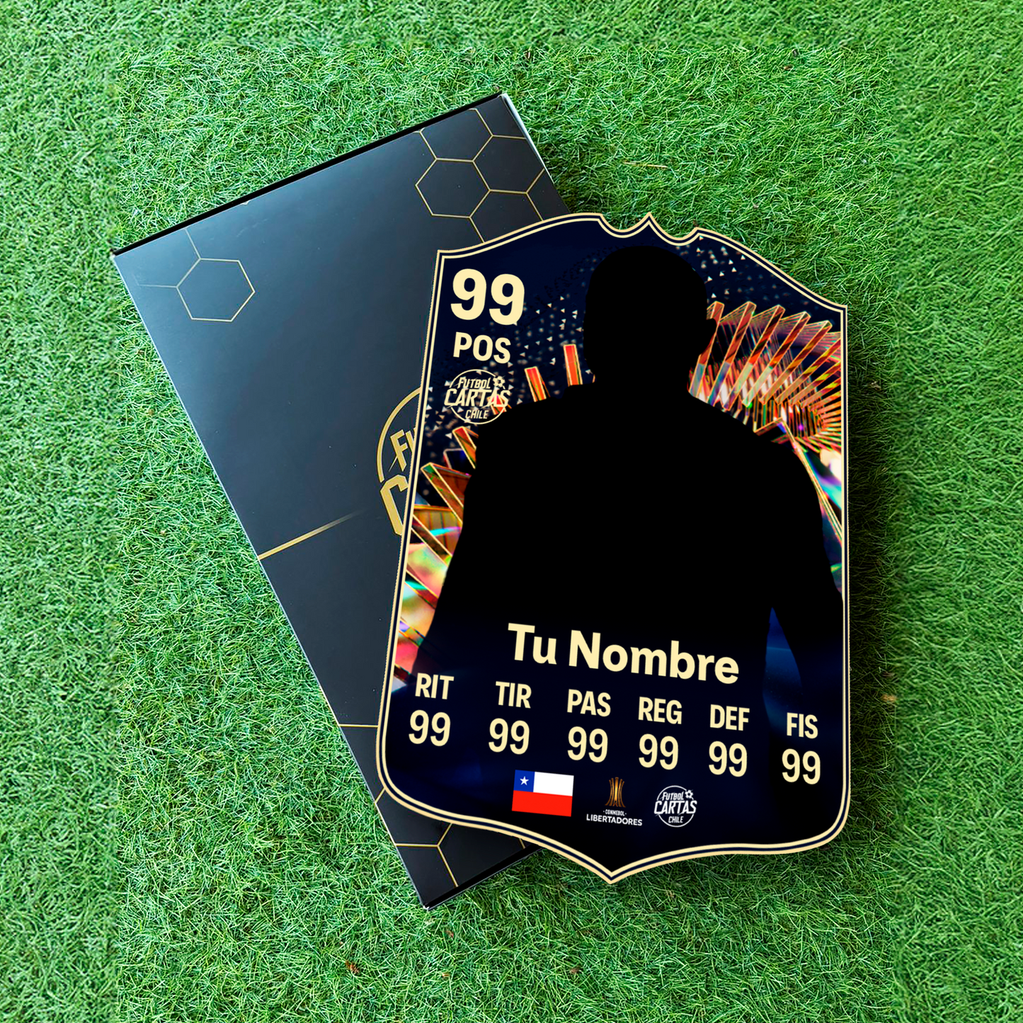 Team Of The Season (TOTS) - FC24