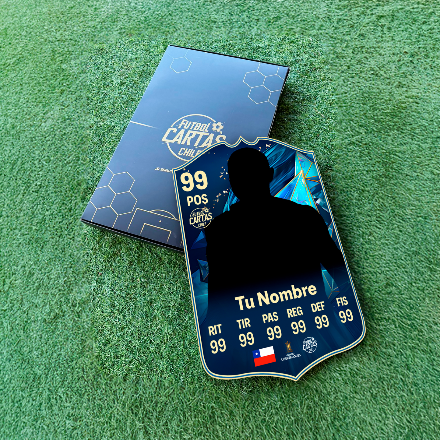 Team Of The Season (TOTS) - FC25