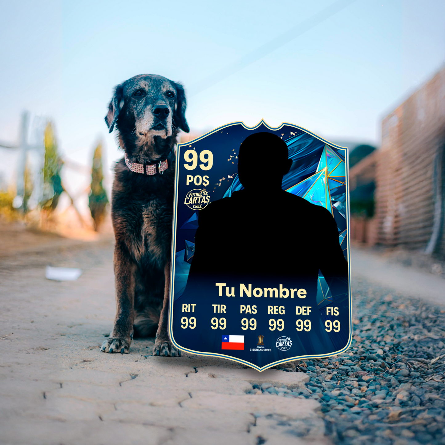 Team Of The Season (TOTS) - FC25