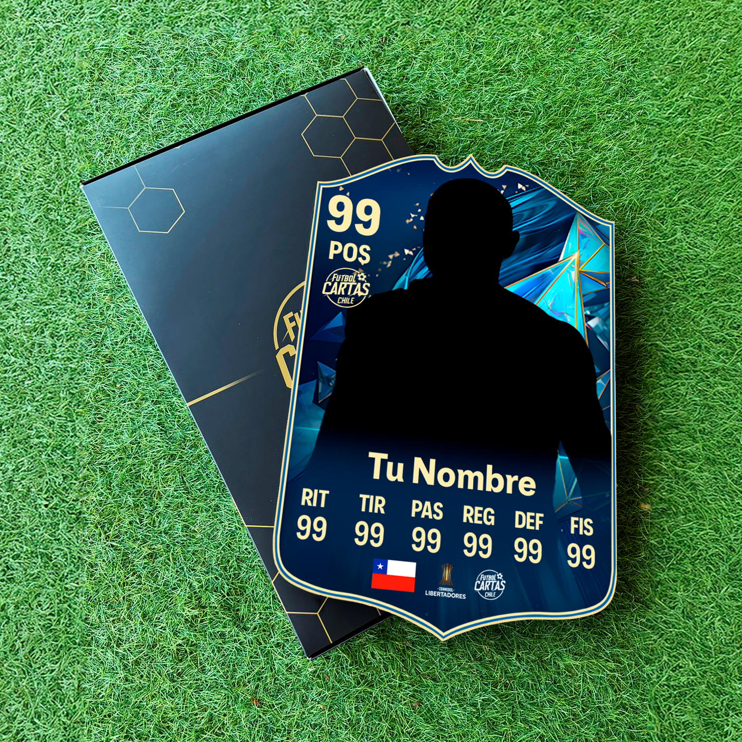 Team Of The Season (TOTS) - FC25