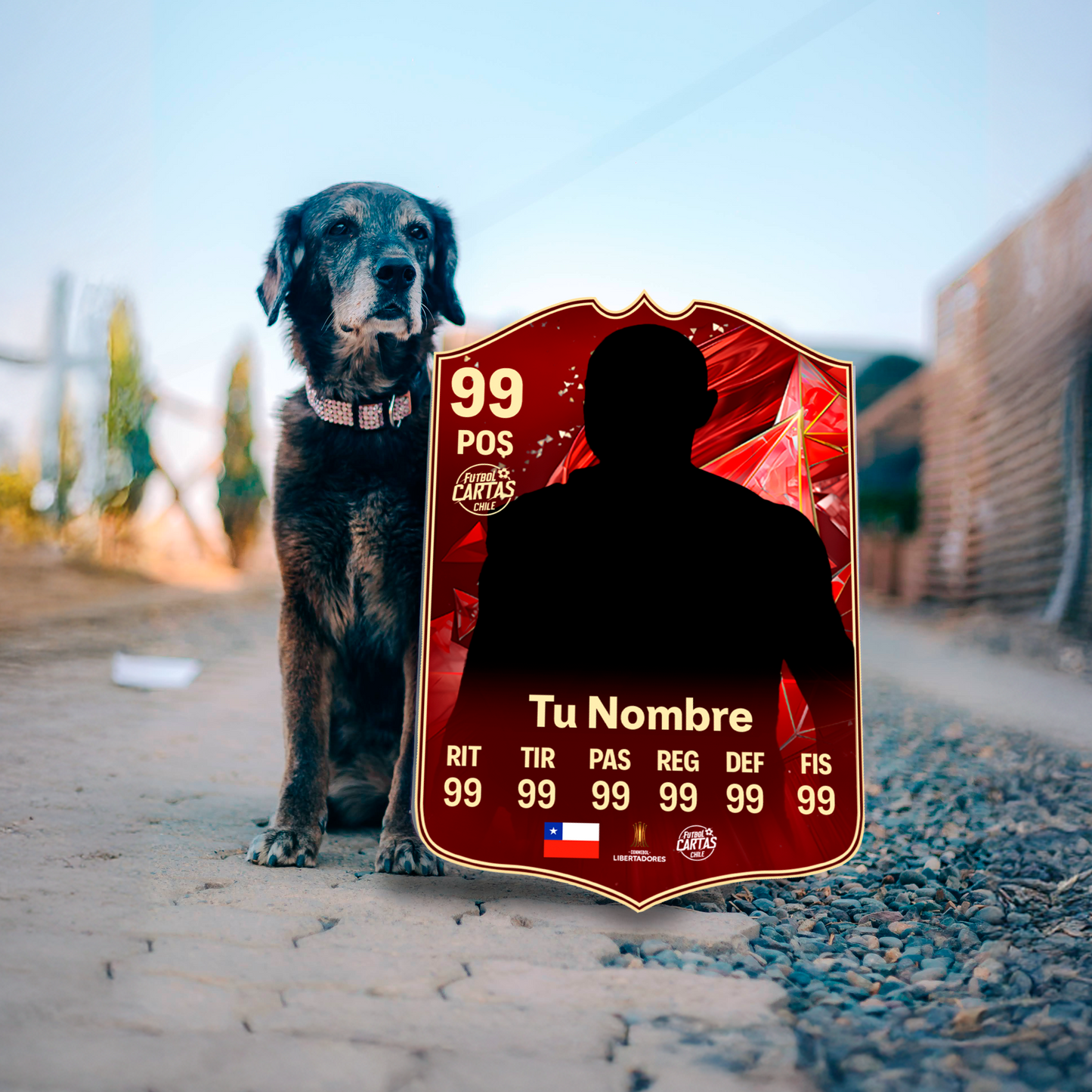 Team Of The Season Champions - FC25